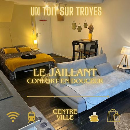 Le Jaillant - Wifi - Centre Ville Historique - Proche Gare Troyes Bagian luar foto